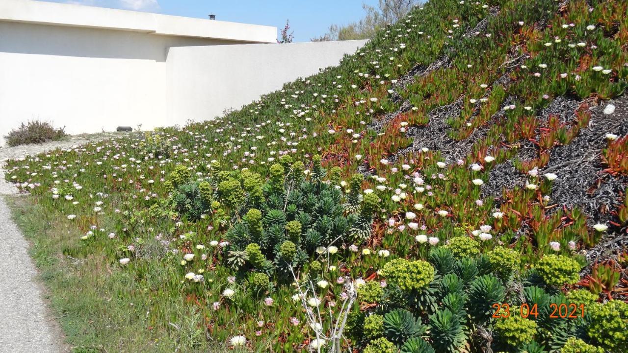 Appartement Mignon Calme Douillet Ascenseur Clim Etage Eleve Proche Parking Et Toutes Commodites Au Coeur Du Toulon Historique Eksteriør billede
